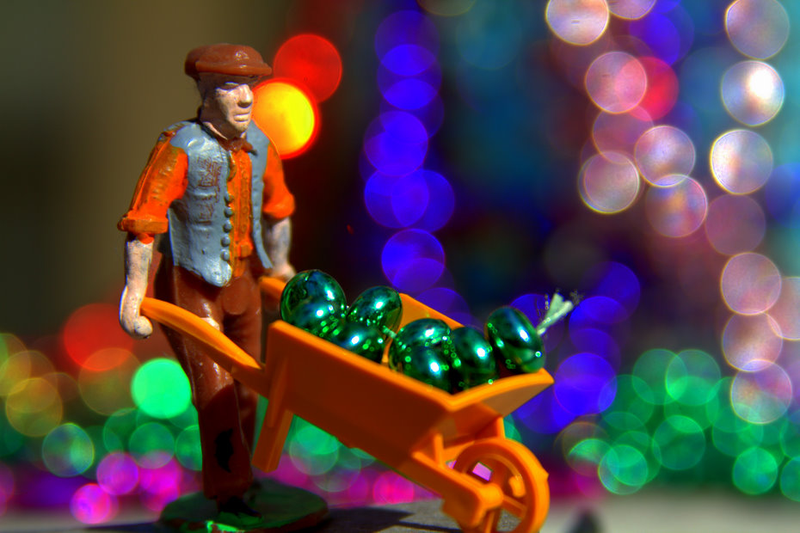 Illustration for article titled Shooting Challenge: Bokeh, Gallery 3
